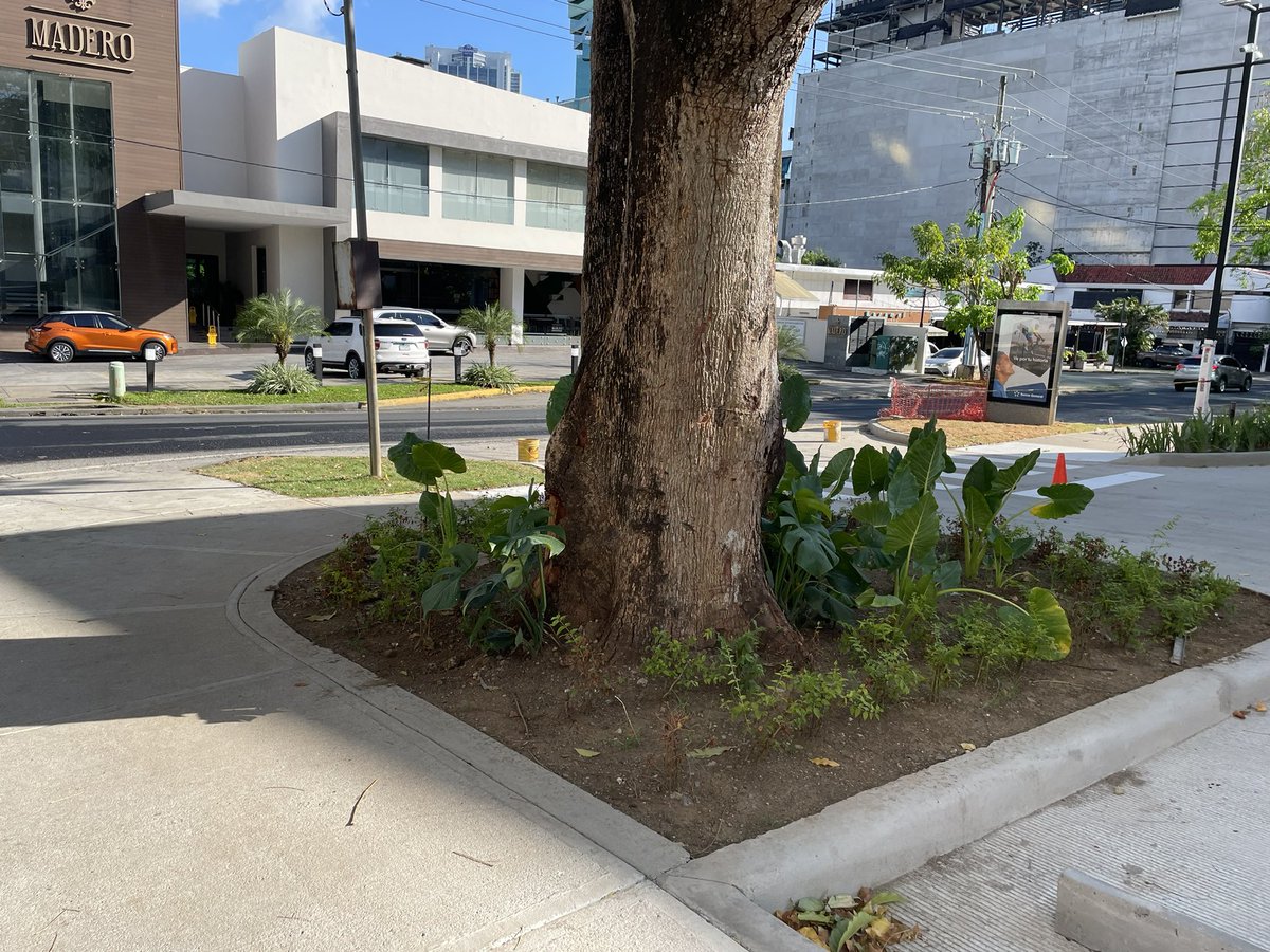 Freddy Pitti tweet media