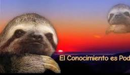 Ing:\Juanita\ tweet media