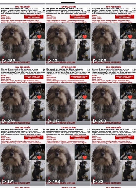 Tendencias en Argentina tweet media