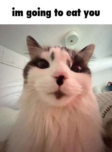 Soggy Bot tweet media