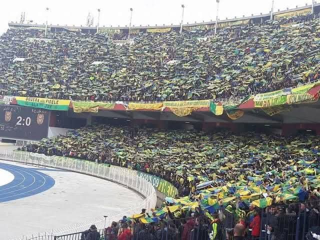 46_7🇯🇲 tweet media