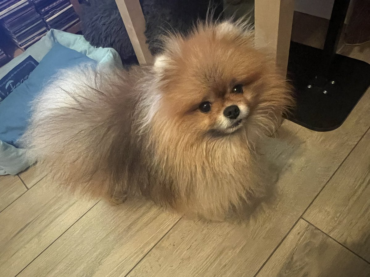 ๐ธ๐ฃ๐๐๐๐๐ ๐๐๐๐ฃ๐ ๐๐๐๐ก ฯ tweet media