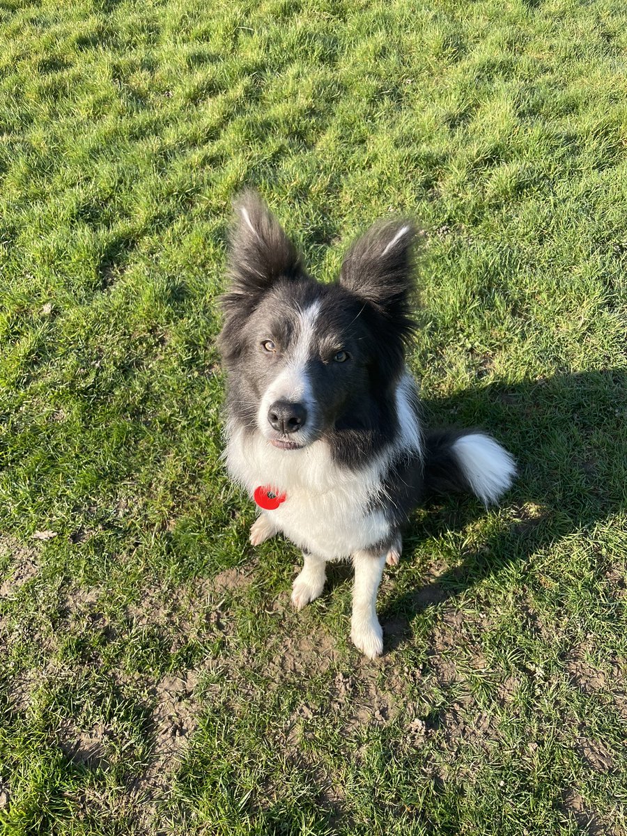 JM Simpson (Jo) Castleby & Whistlers Peak Series. tweet media