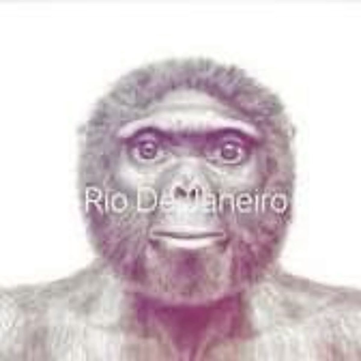 🇵🇸🇵🇸🇵🇸 tweet media