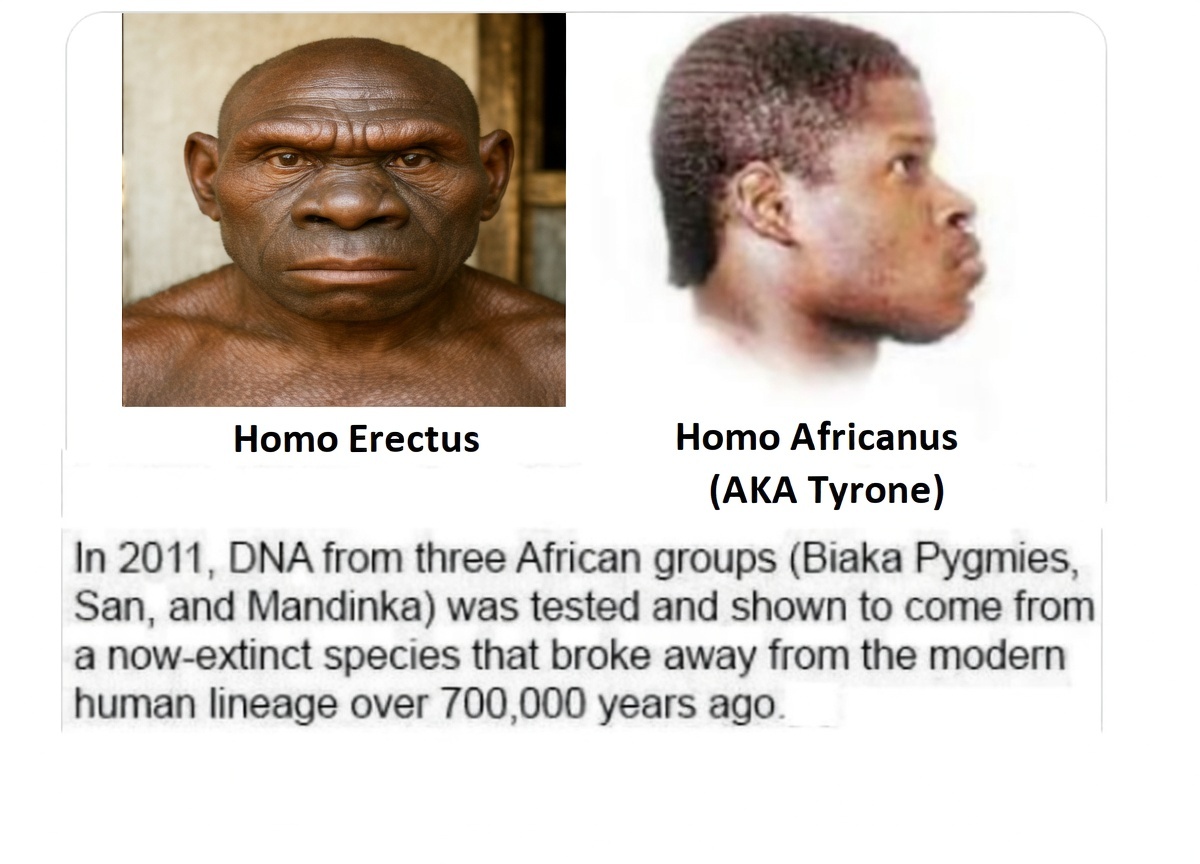 Sujong An tweet media