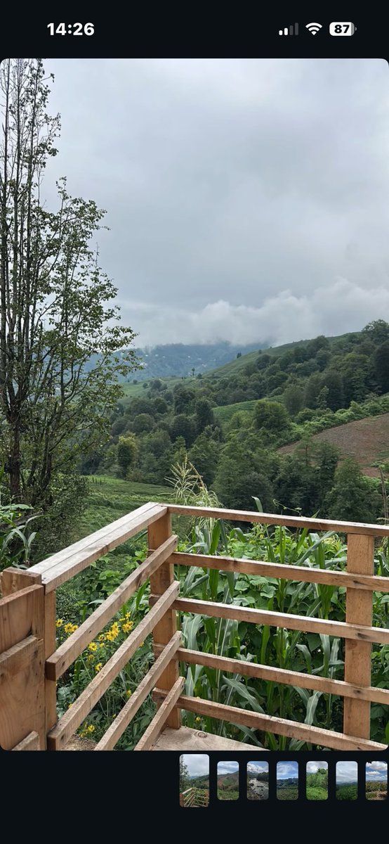 𓍼 ོ tweet media