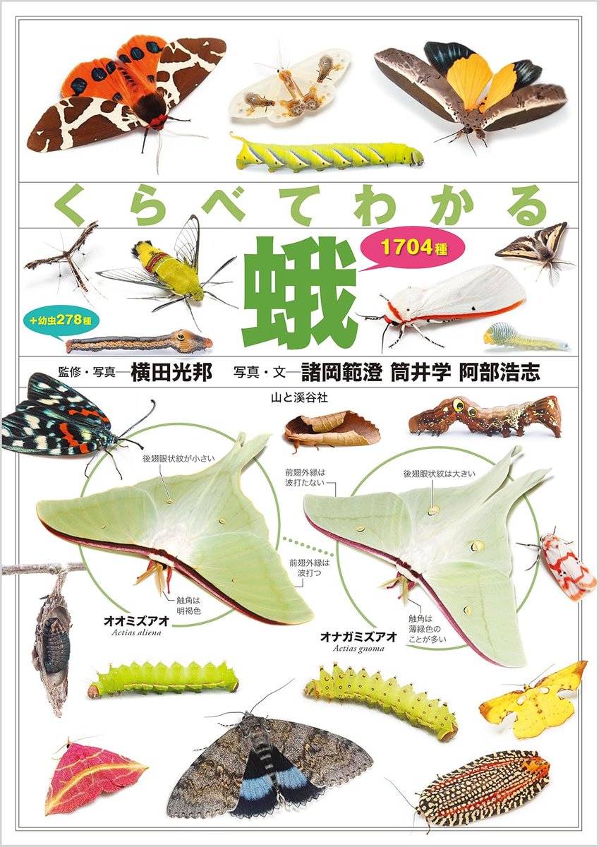 きんちゃく@日本一早い！電子書籍セール速報 tweet media