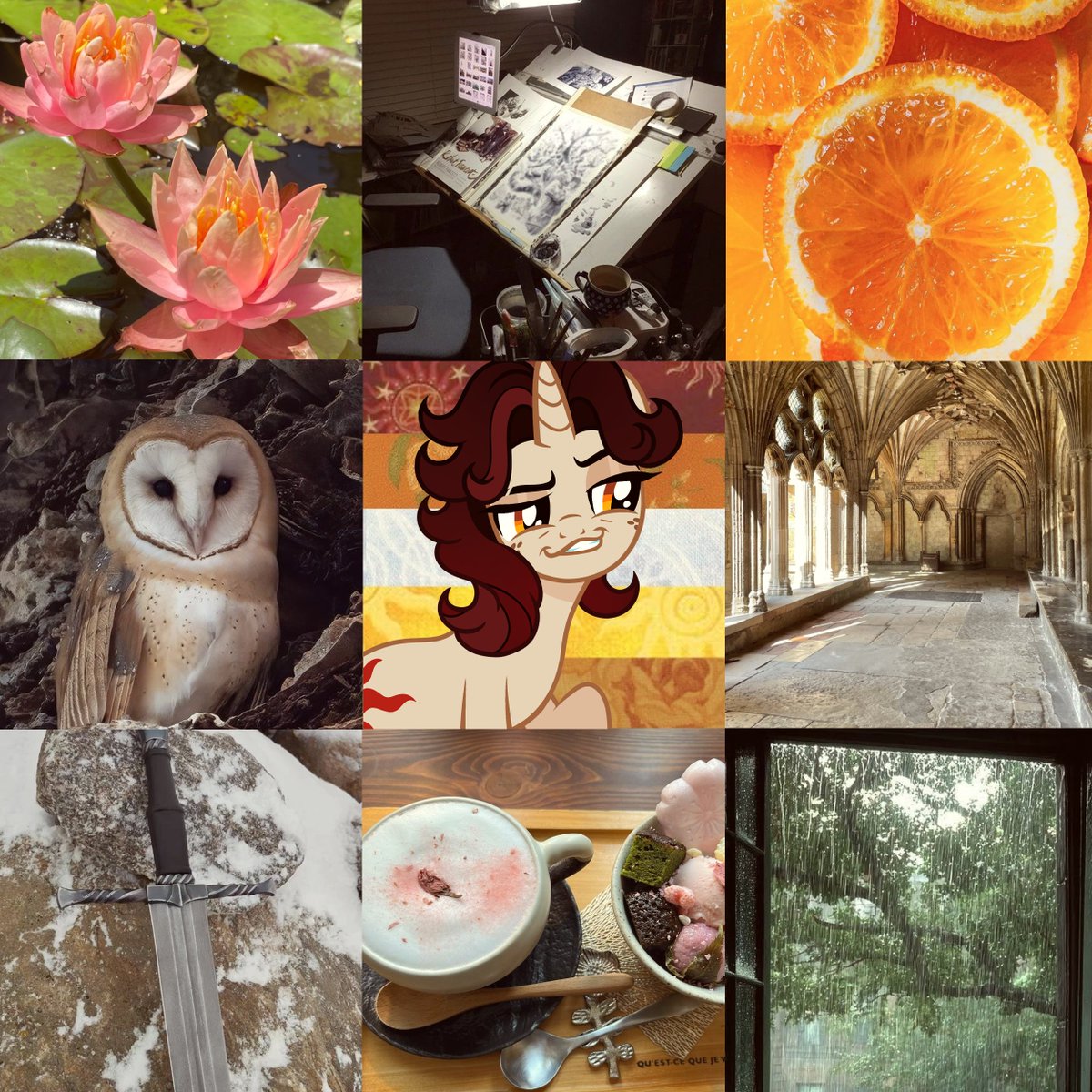 my small horse ™ 🫧 tweet media