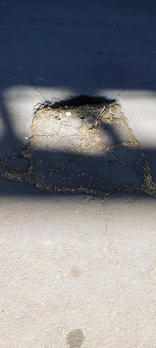 Chany Estrada tweet media