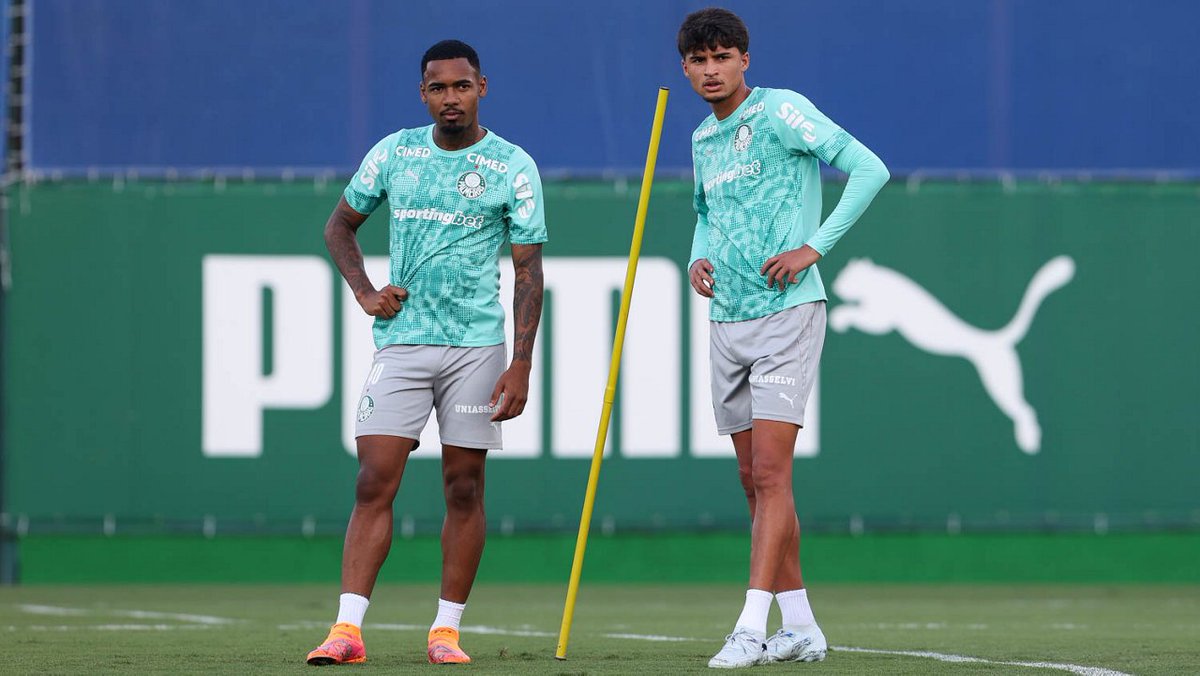 Palestra News tweet media