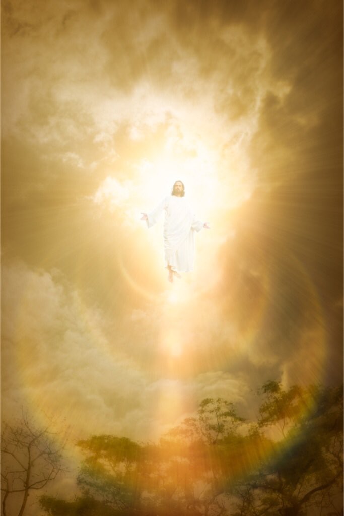 Doctrine&Covenants tweet media