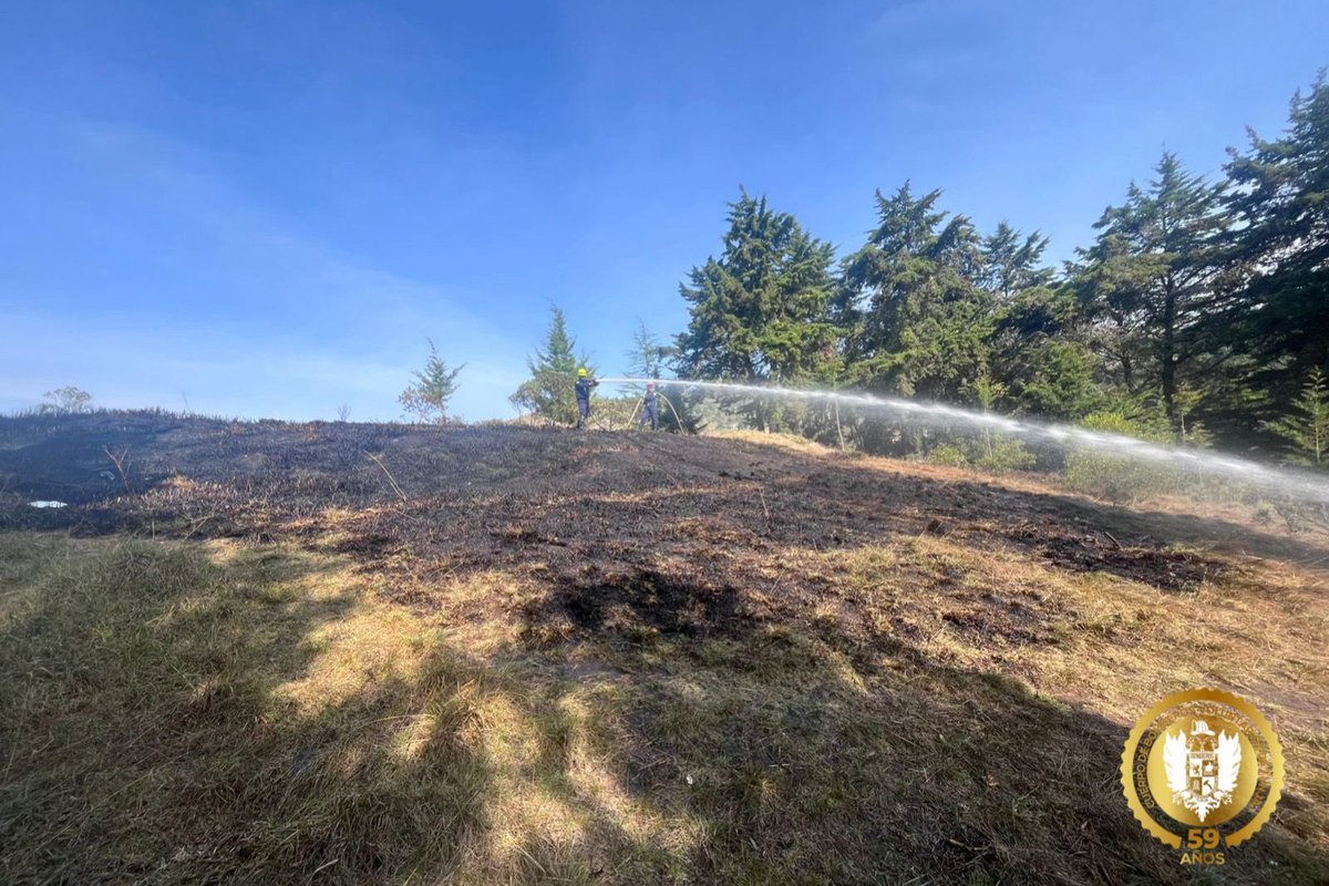 NCT NOTICIAS tweet media