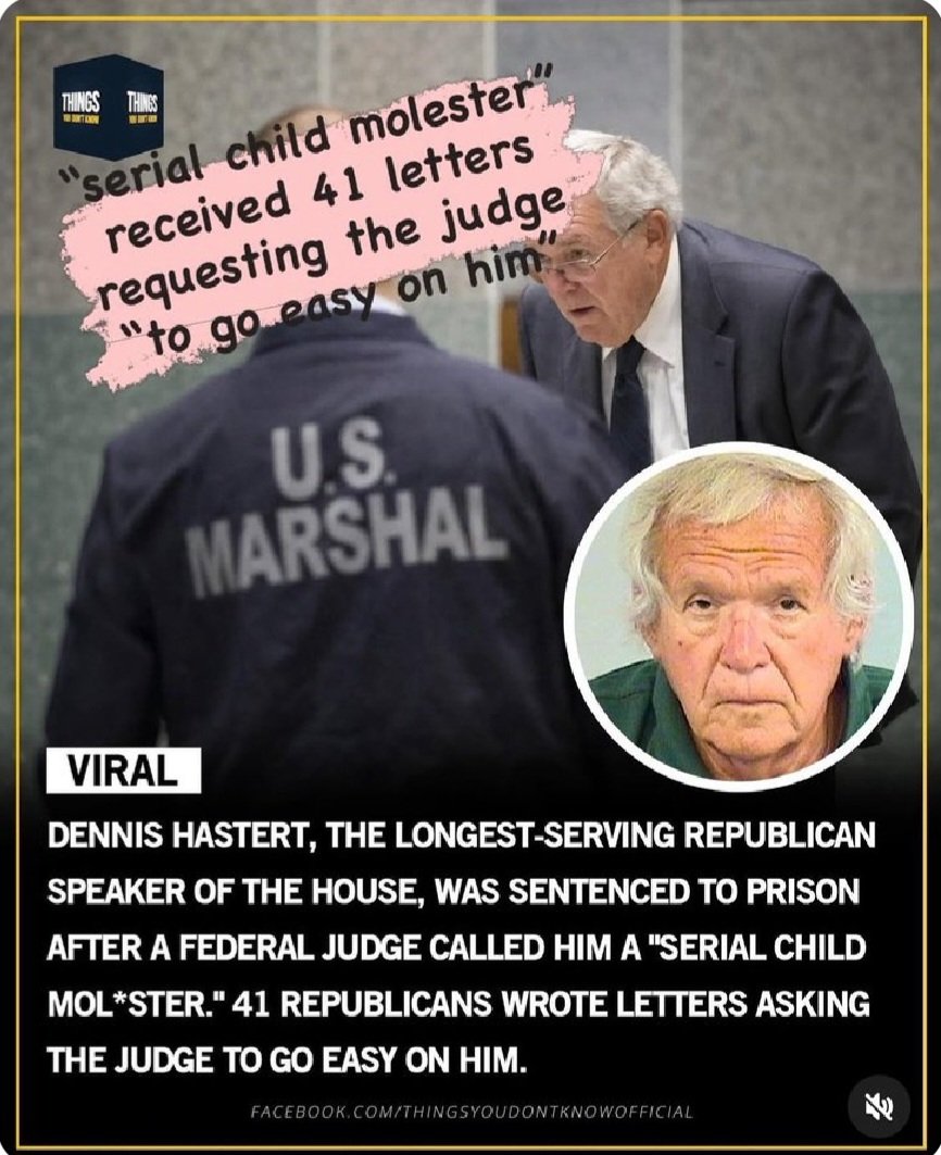 DogsAreBetter tweet media