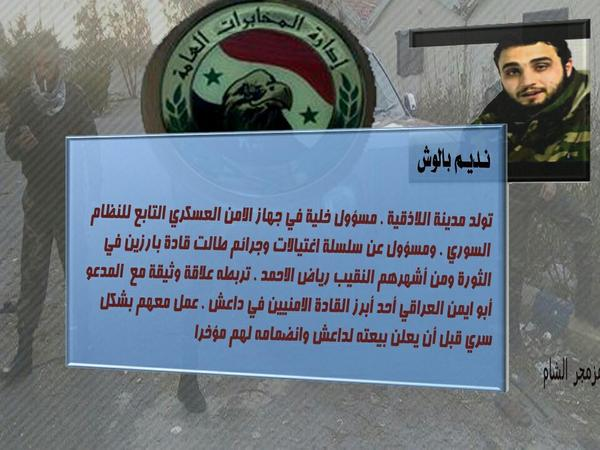 المشير tweet media