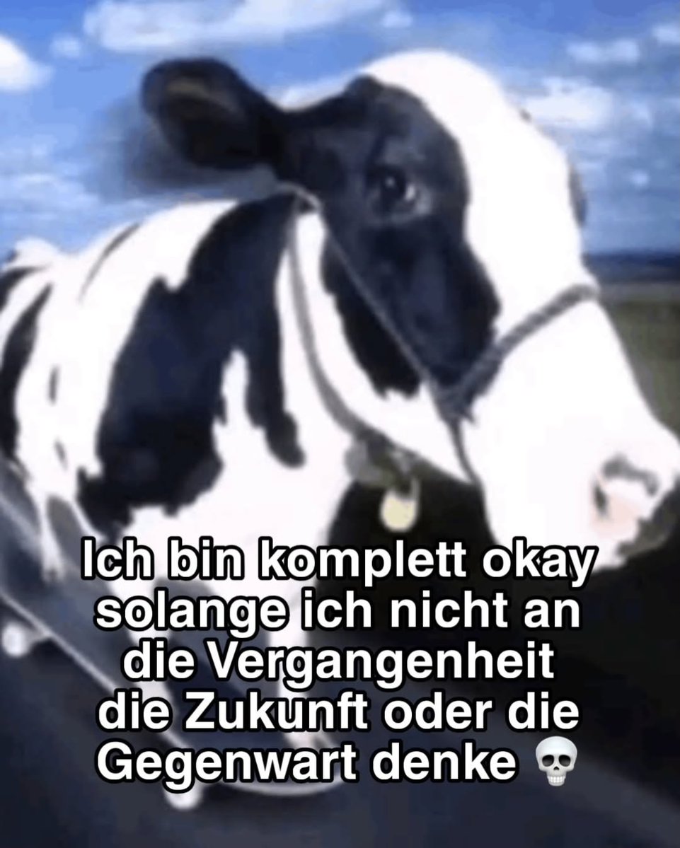 TuNichtGut 🕊🍉 tweet media