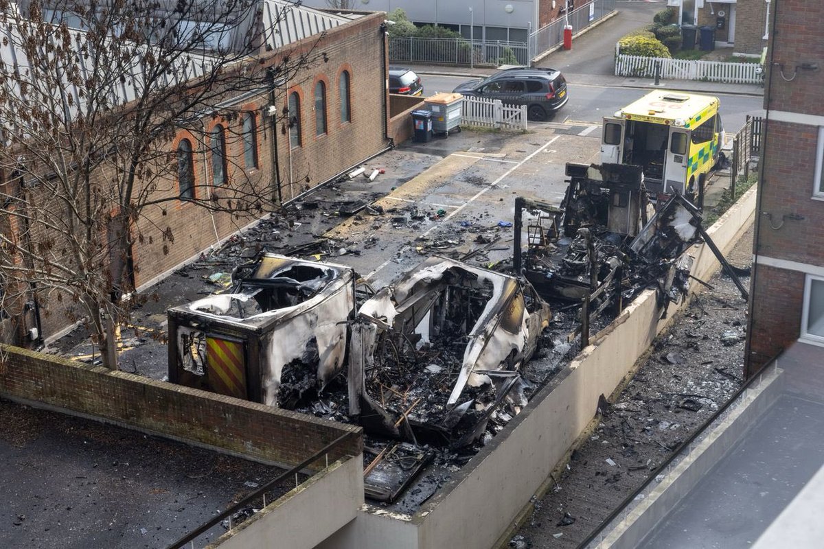 Erica Cervini tweet media