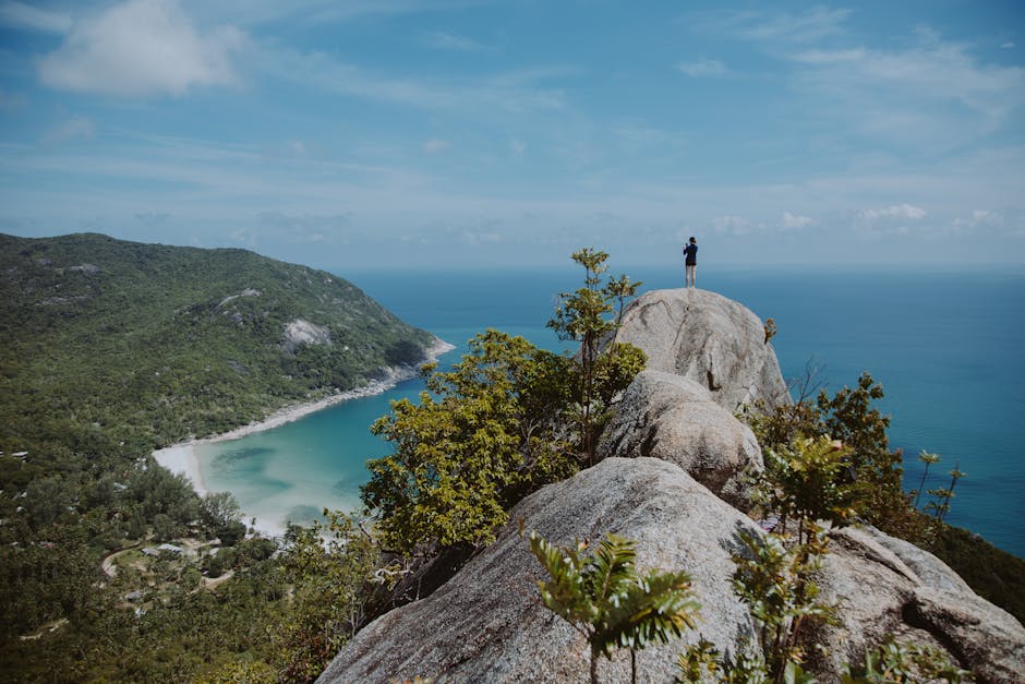 Lynn Freeman tweet media