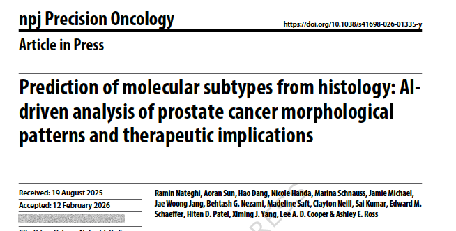 Adam_Weiner535's tweet image. 🔬 AI predicts #prostatecancer molecular subtypes directly from H&amp;amp;E biopsy slides

🧬 Digital path in @Nature_NPJ  
🎯 AUC 0.863 (PAM50) | 0.81 (PSC) 
💊Luminal B → predicts hormone therapy response
⚠️Luminal B &amp;amp; LP → flags aggressive pathology at surgery

⭐️Cheaper. Faster.