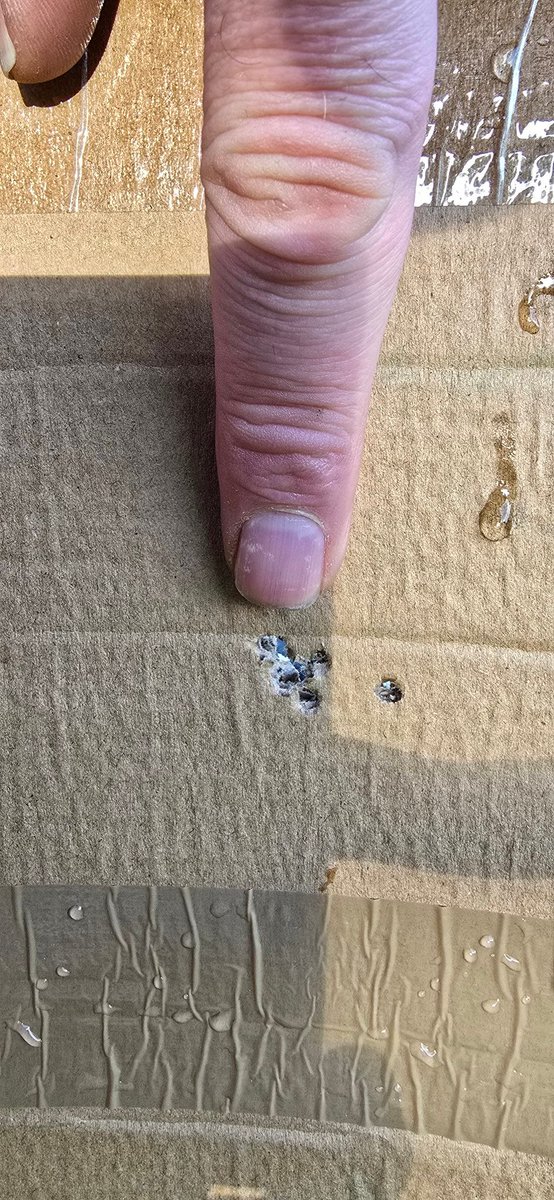 Under- dog tweet media