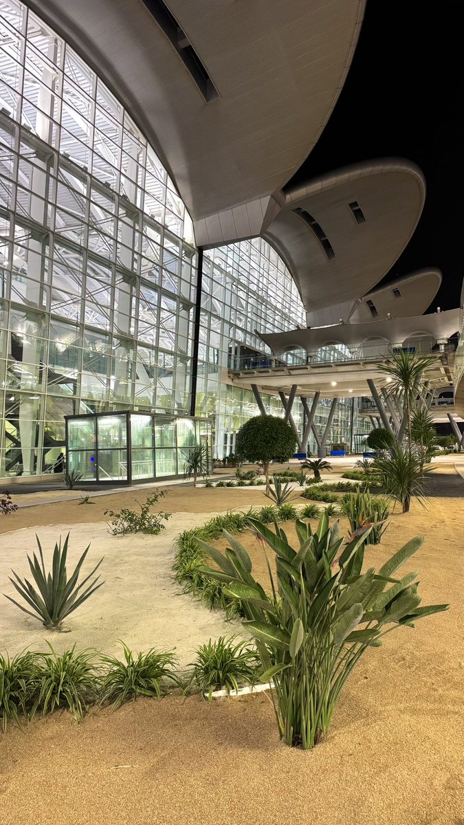 ⴰⵎⵉⵏ 🇩🇿 tweet media