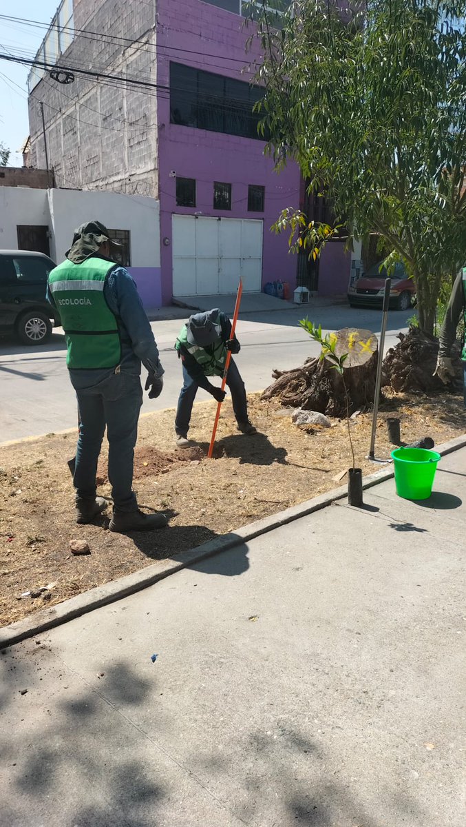 SEGAM SLP tweet media