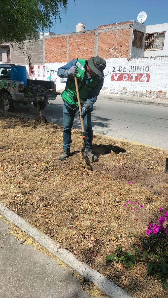 SEGAM SLP tweet media