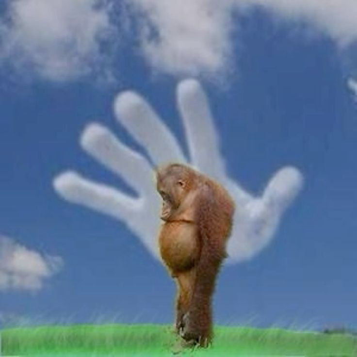 Ed(sem i)son tweet media