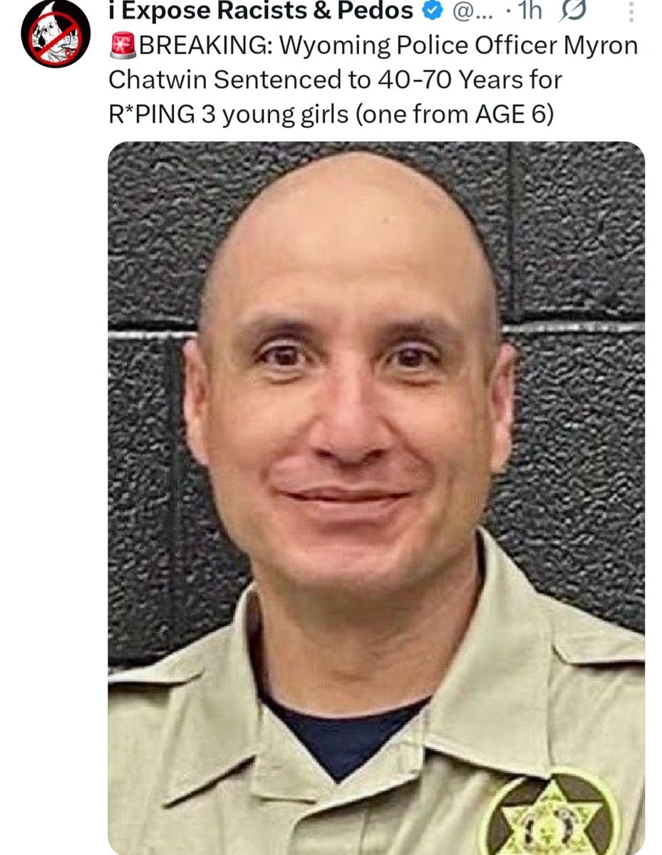 DogsAreBetter tweet media