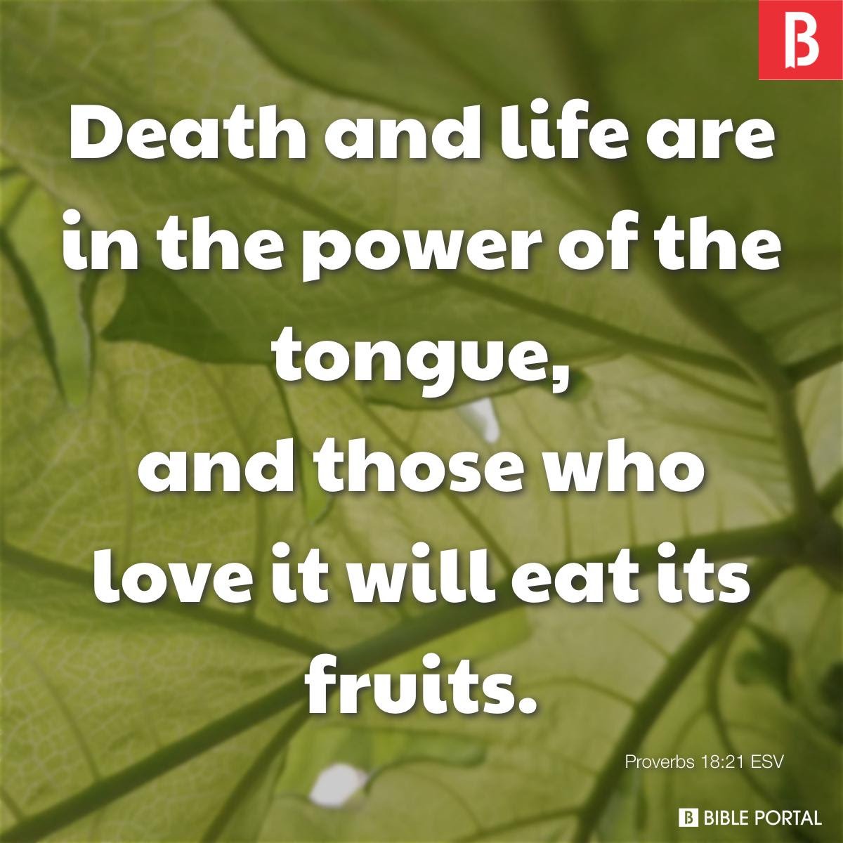 darius volket 4 Corners of the Earth tweet media