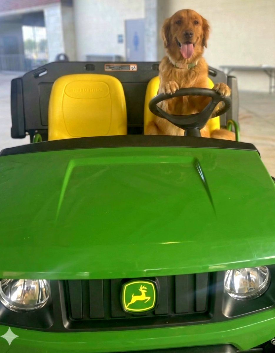 CFISD Operations tweet media