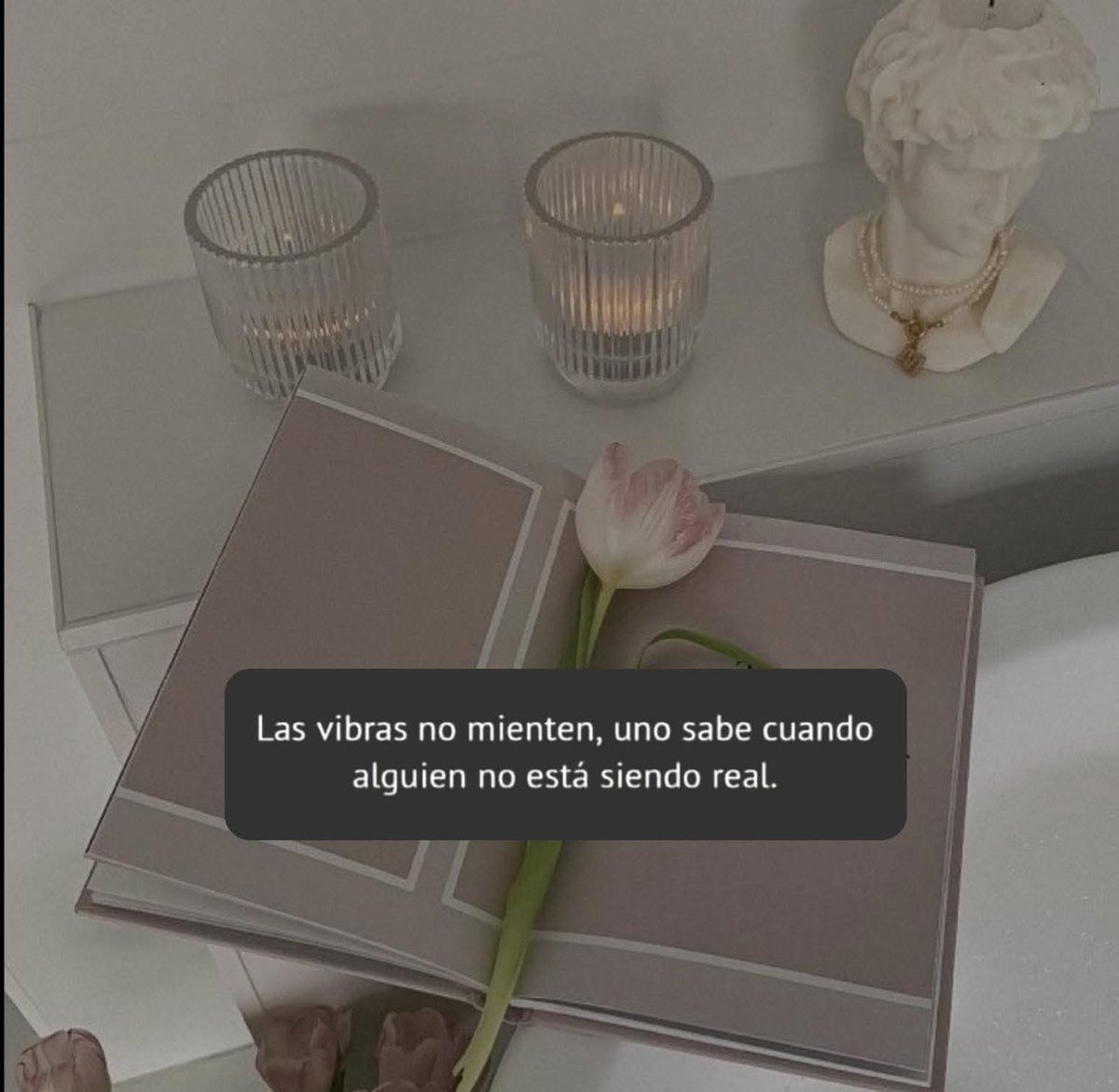 Chany Estrada tweet media