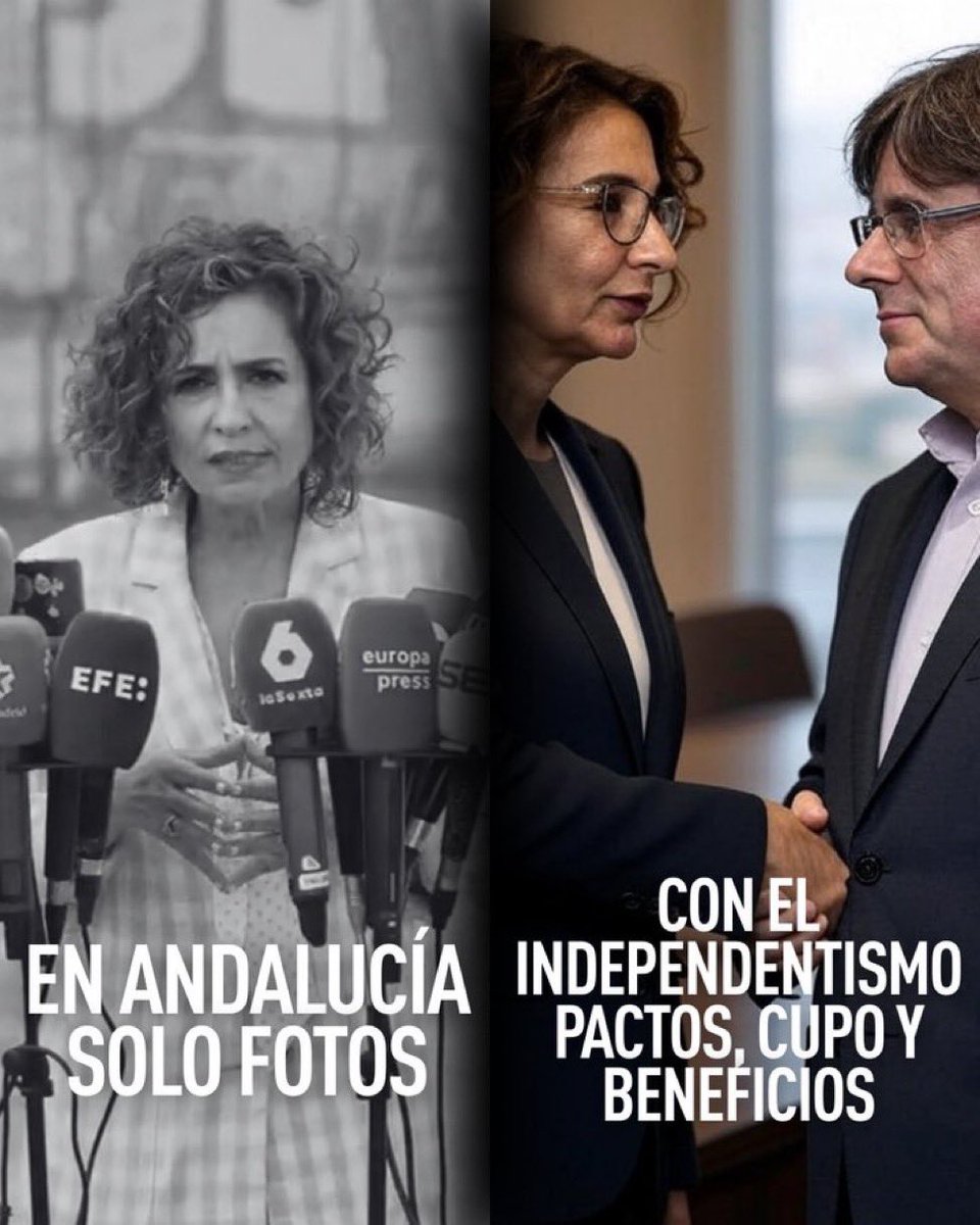 Zero Perez Alba tweet media