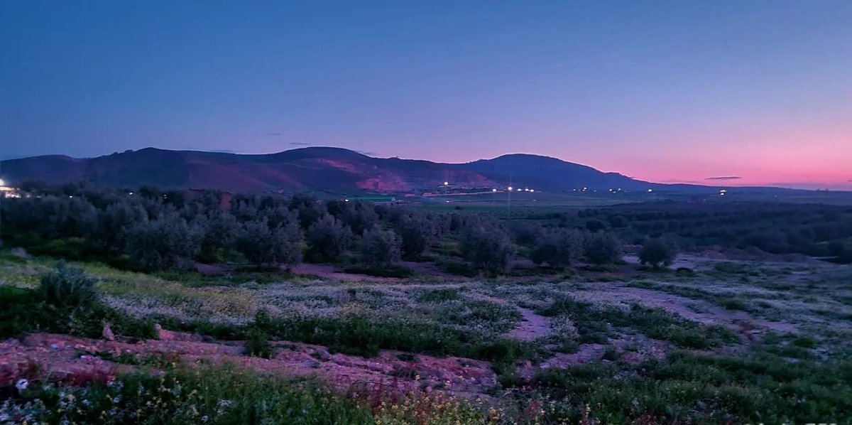 سمير 🇩🇿 tweet media