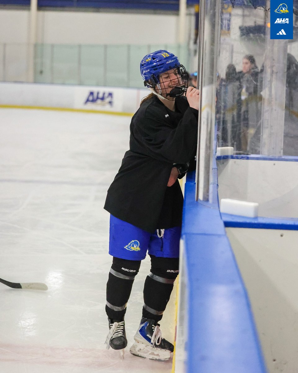 Delaware Ice Hockey tweet media