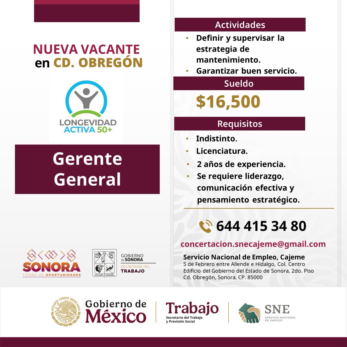 SNE Sonora tweet media