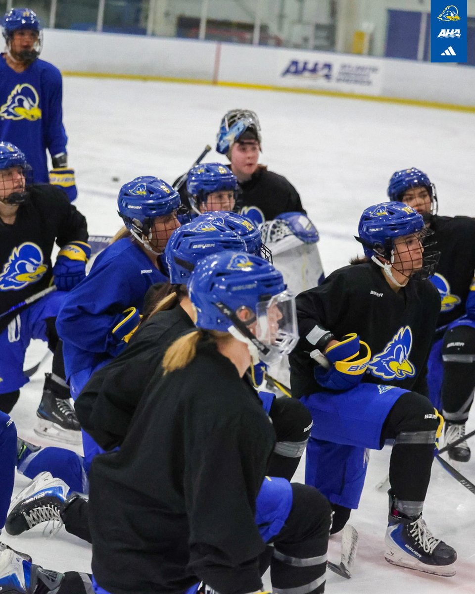 Delaware Ice Hockey tweet media