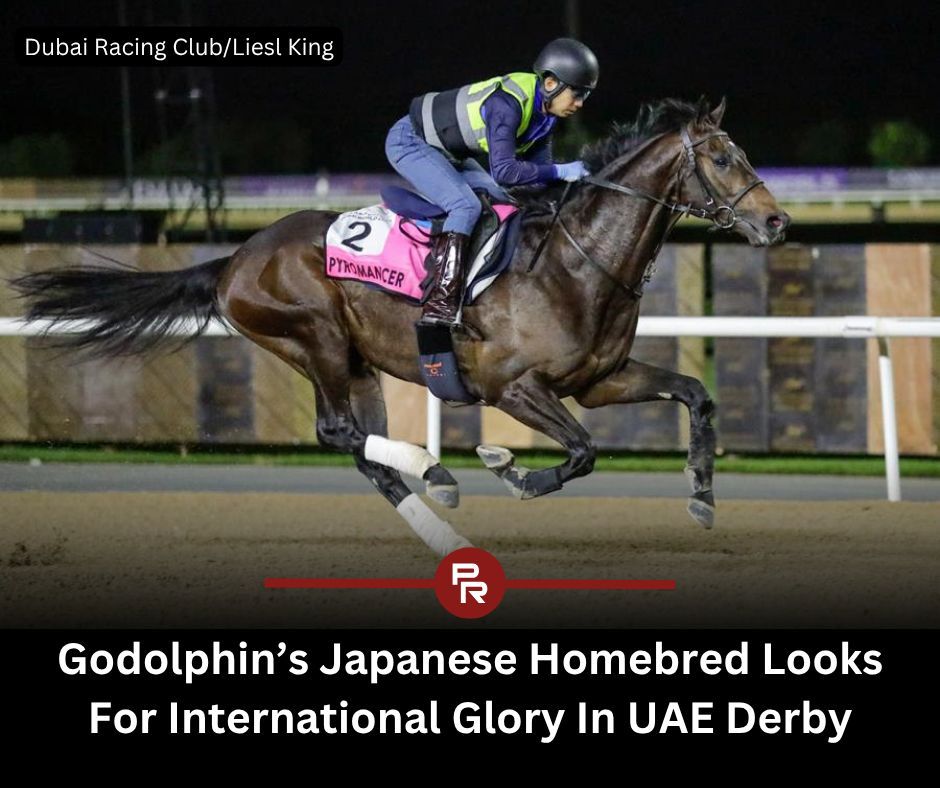 Paulick Report tweet media