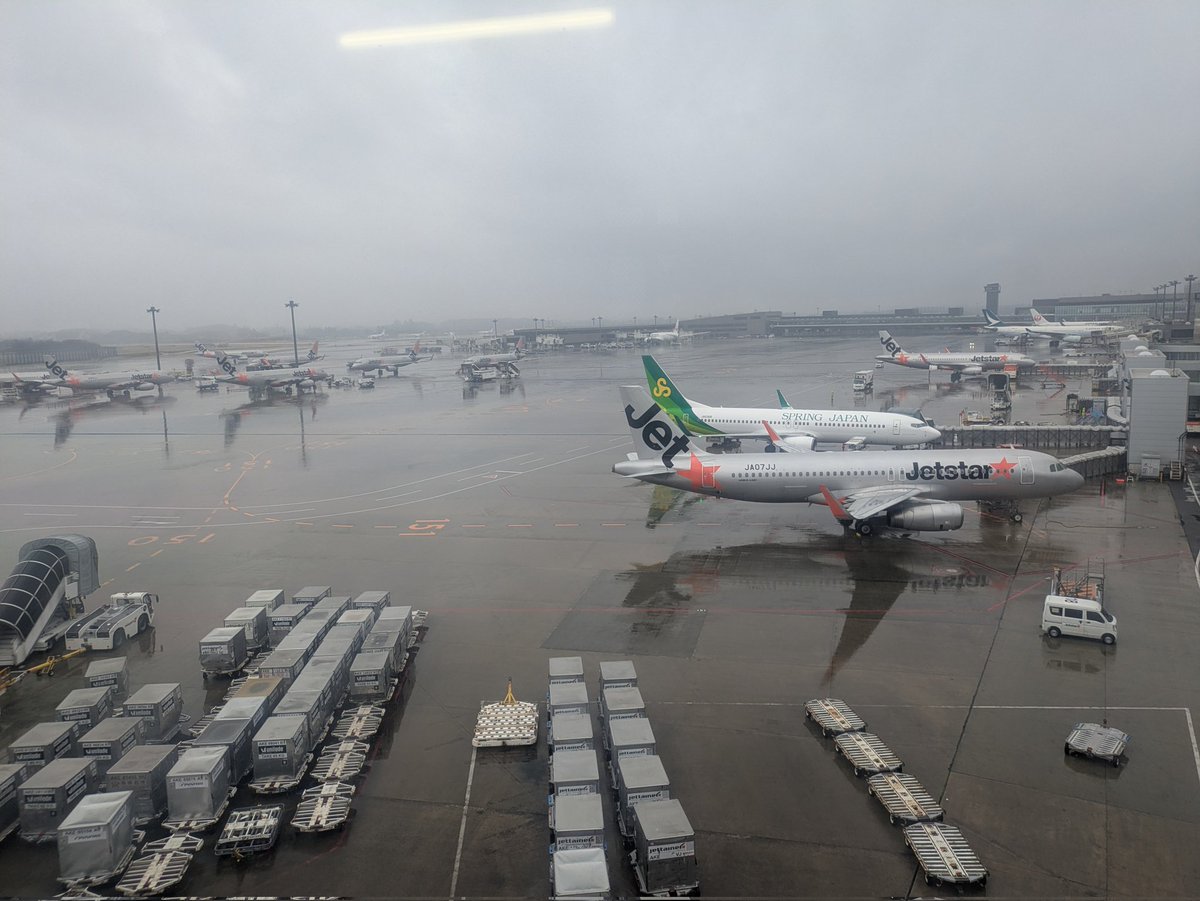 きゃるてぃん【kyarutein】 tweet media