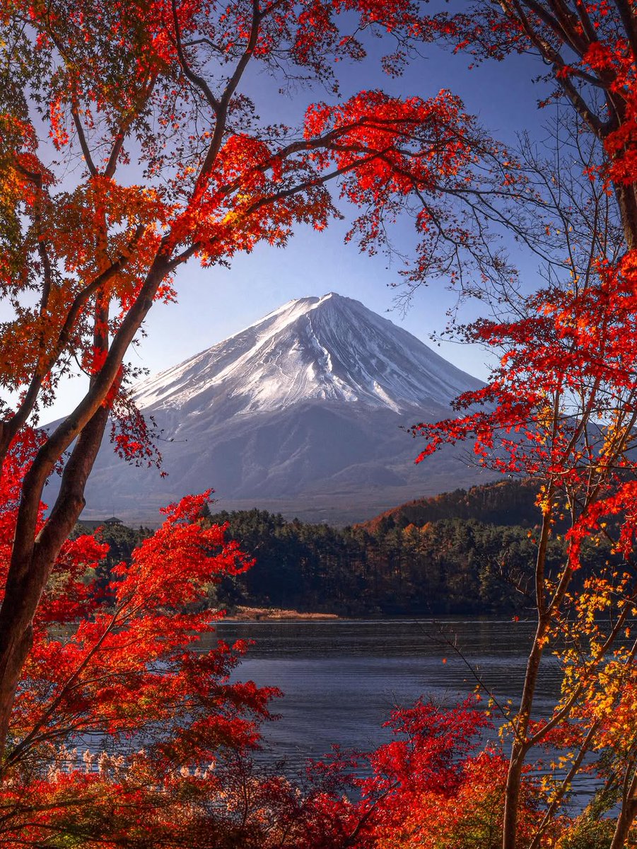 Food Crush tweet media