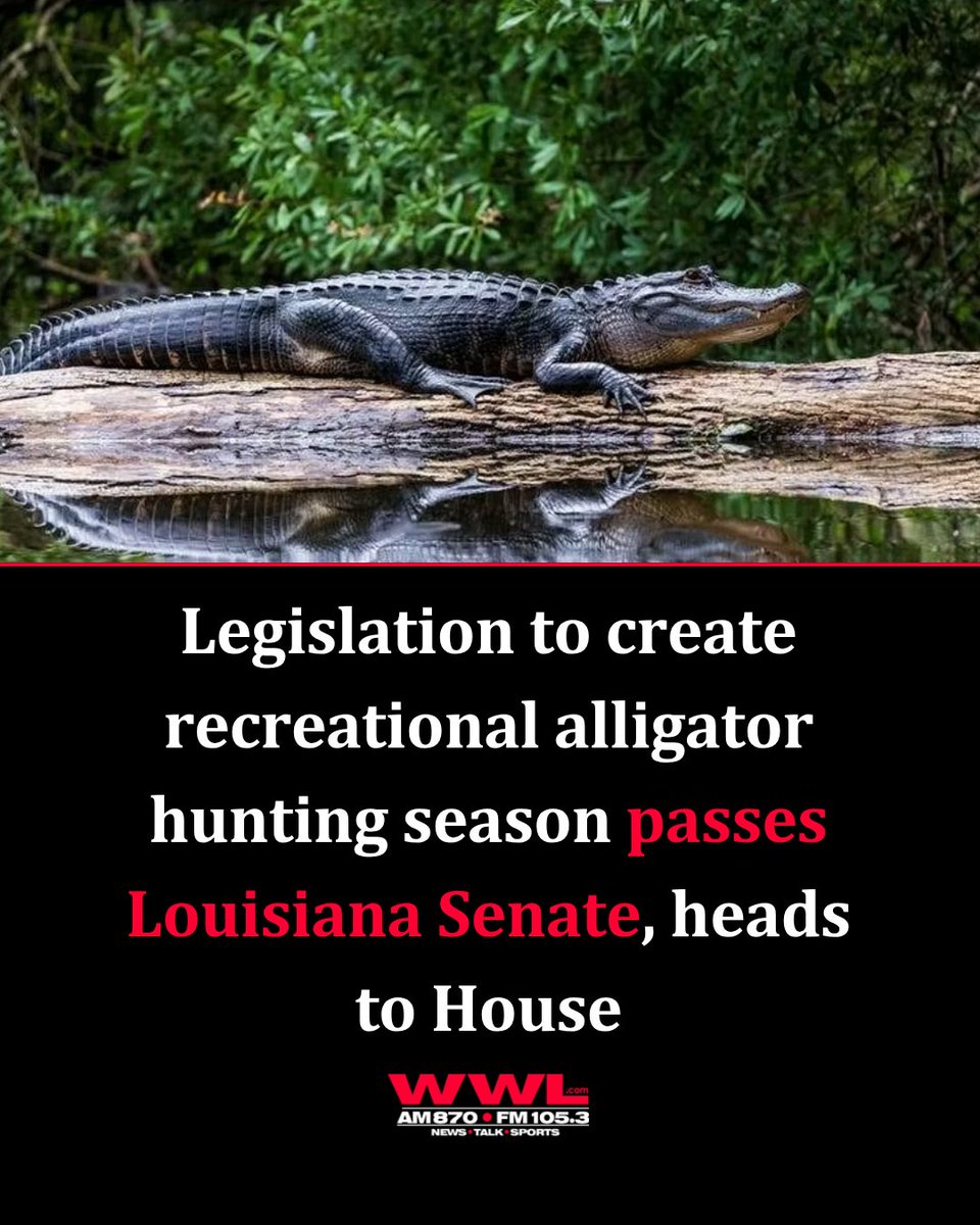 WWL Radio tweet media