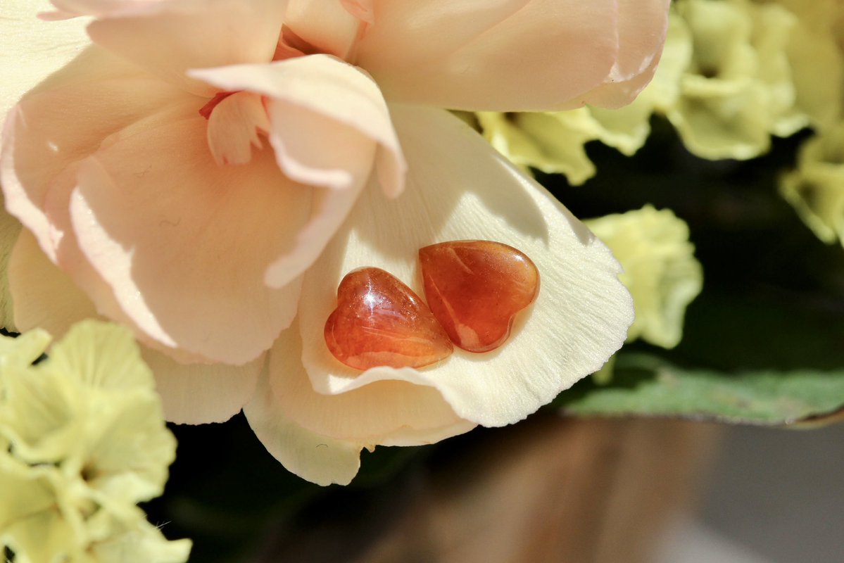 翡翠商のお店 ヤギトレーディング 2026年仙台石フリマ 3月29日（日） 出店✨ tweet media