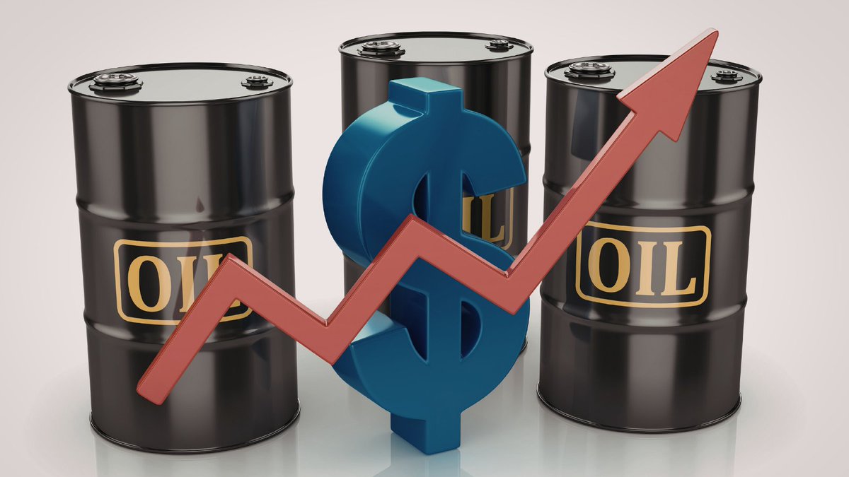 けんちゃんファンド tweet media