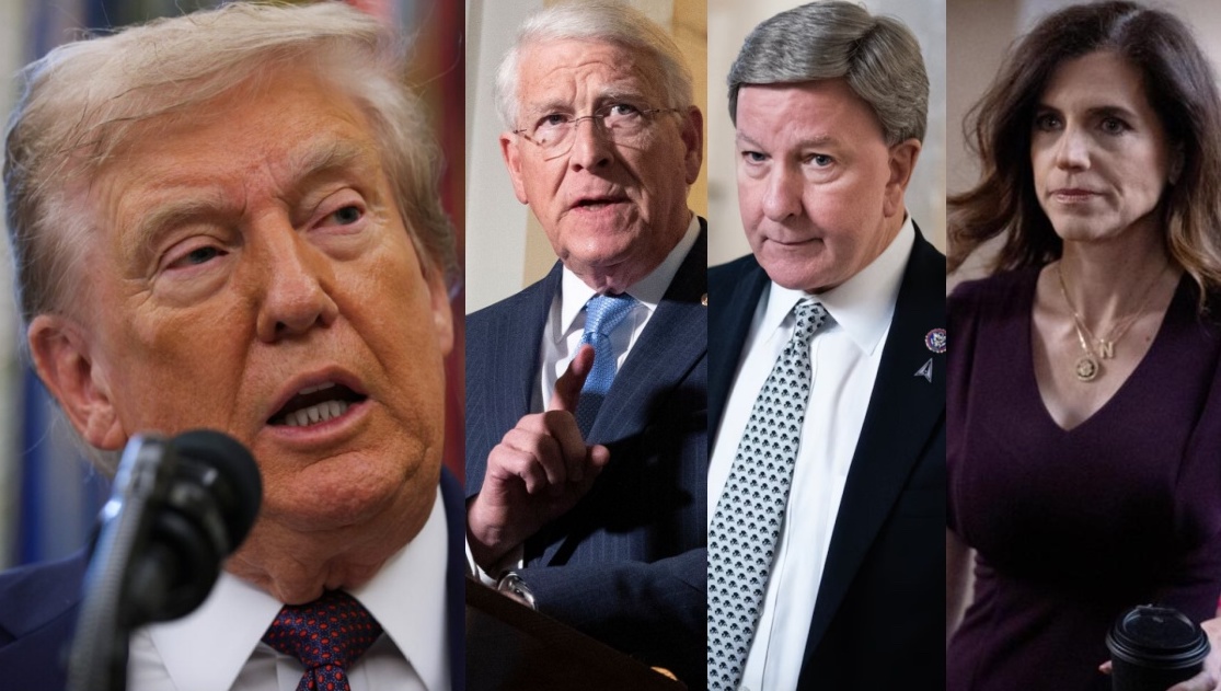 Occupy Democrats tweet media