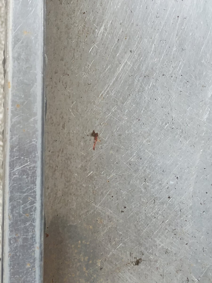 Ergofobia tweet media