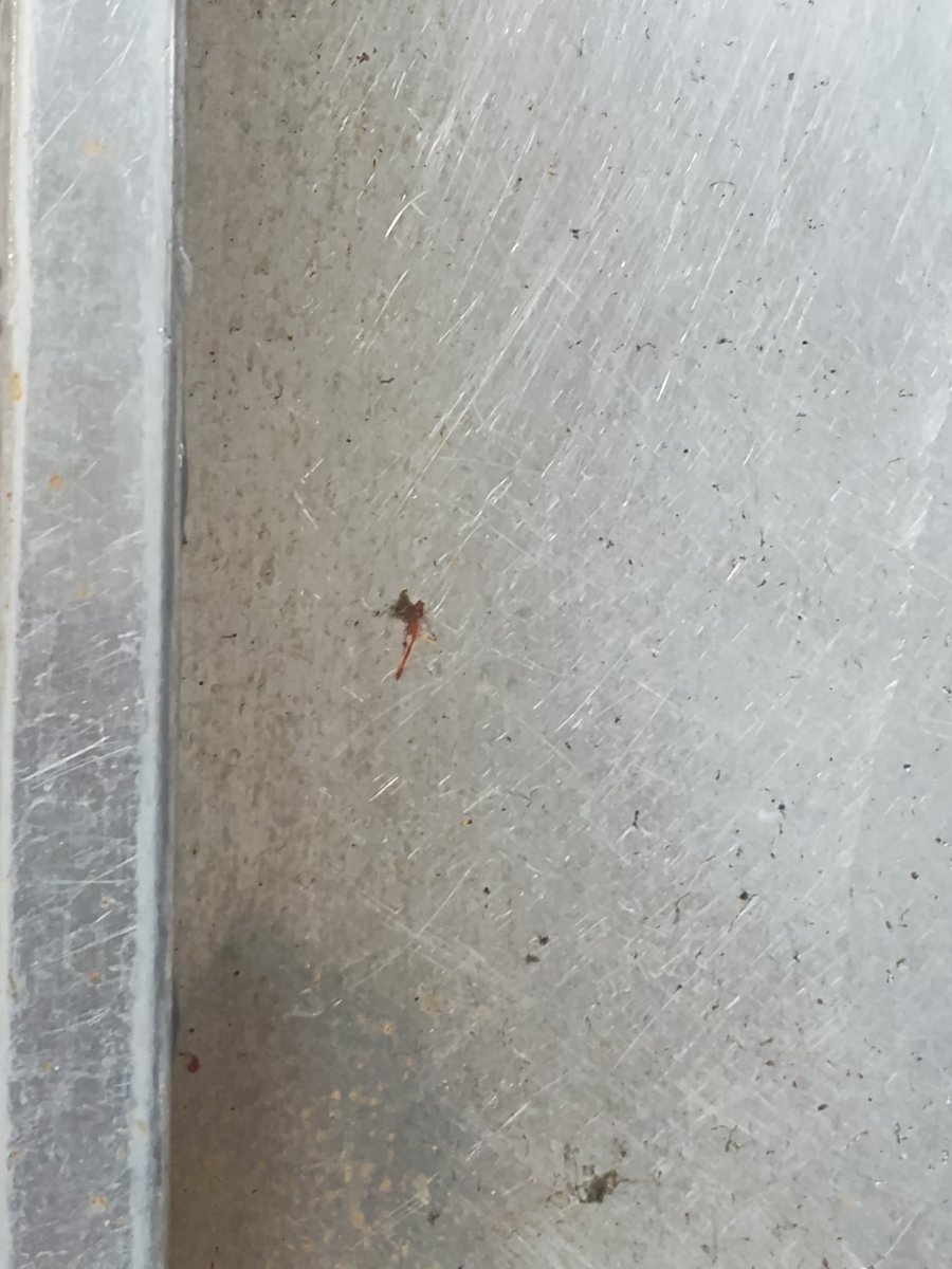 Ergofobia tweet media