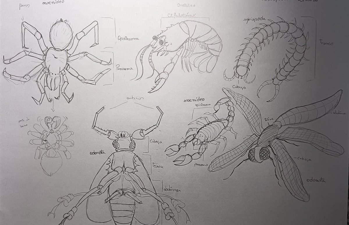 ·Wild· tweet media