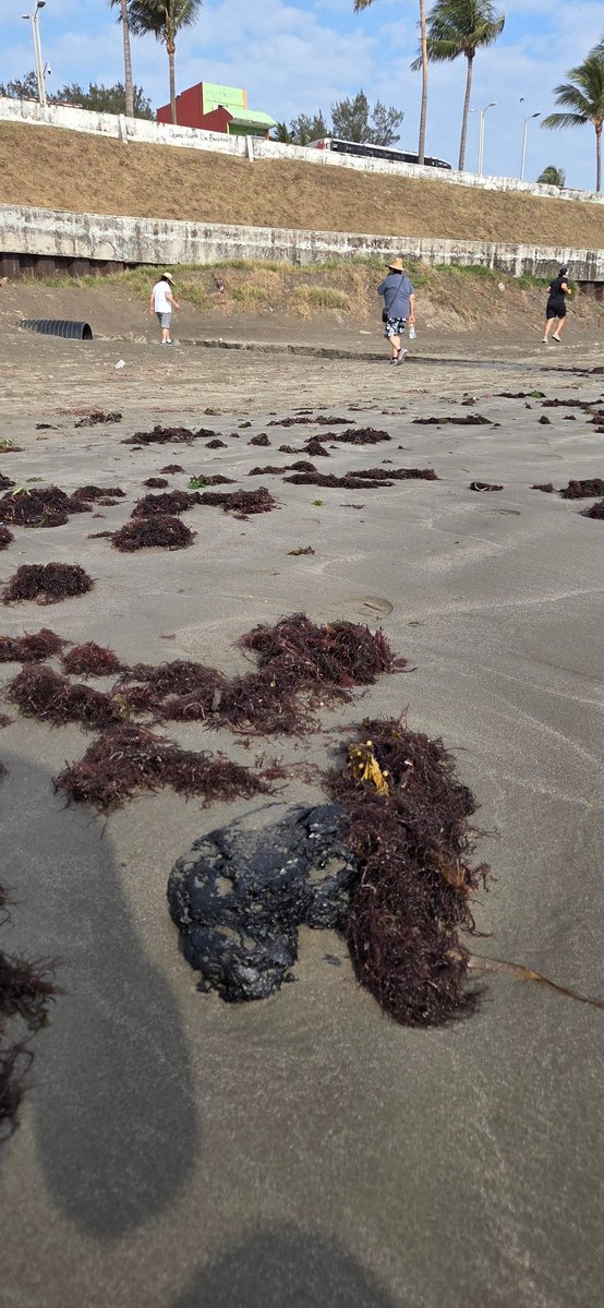 Rodrigo Barranco tweet media