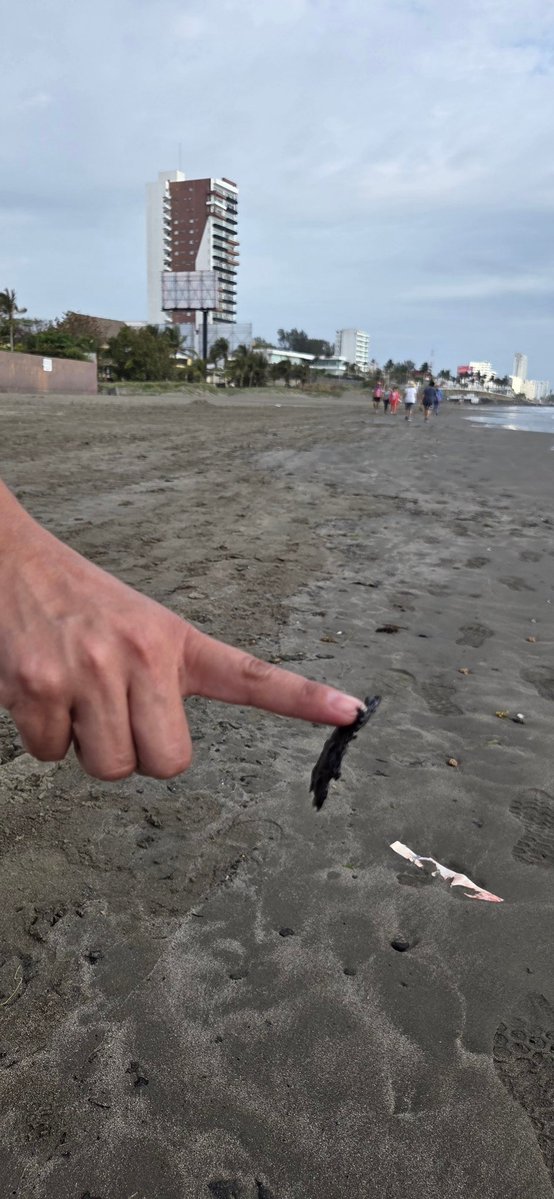 Rodrigo Barranco tweet media