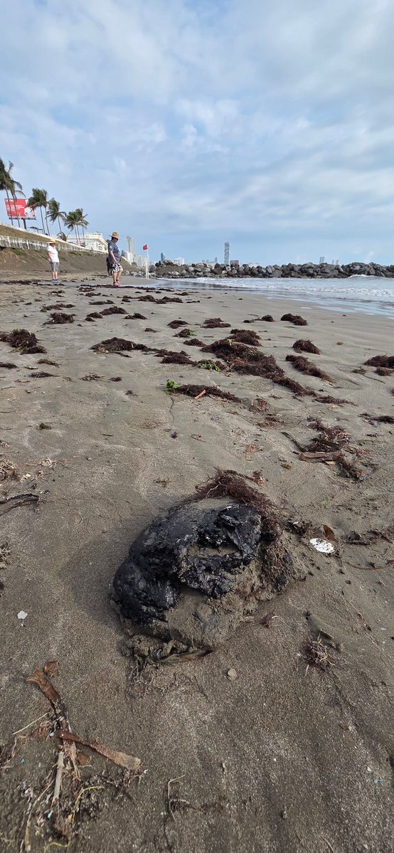 Rodrigo Barranco tweet media