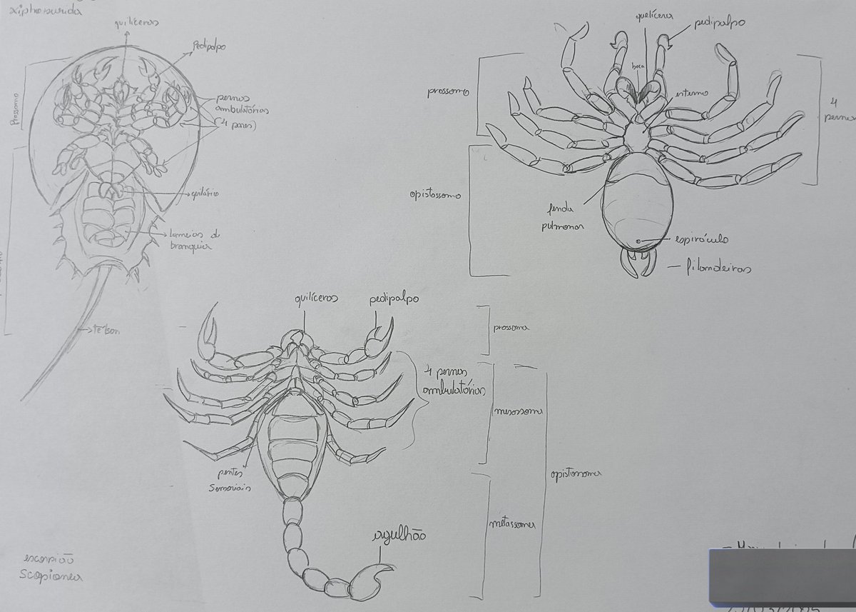 ·Wild· tweet media